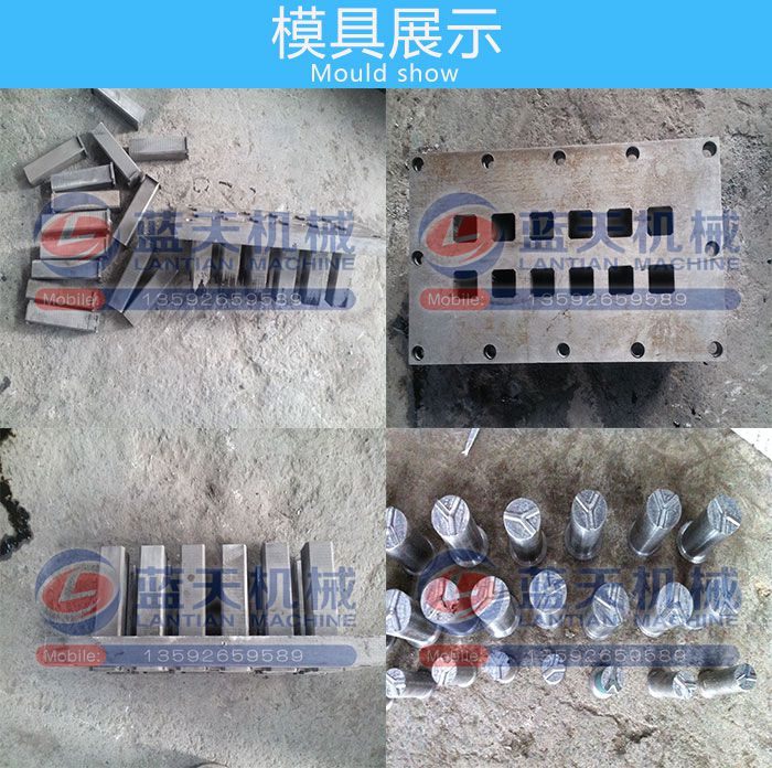 ľ̿�ۉ�Ƭ�Cģ��չʾ